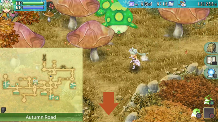 A small area with giant mushrooms along Autumn Road / Rune Factory 4