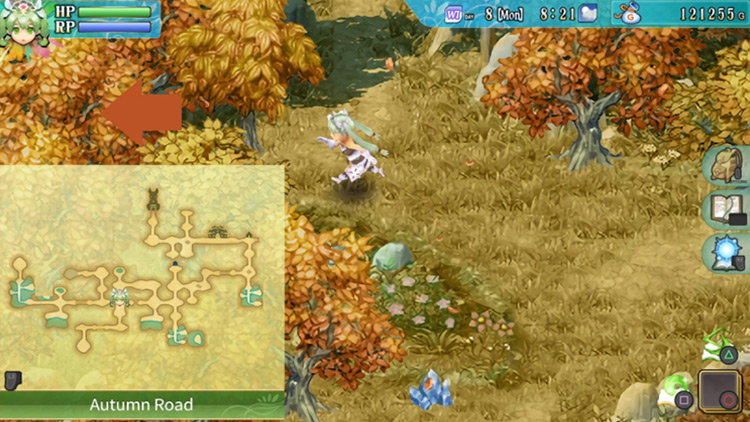 A hidden path behind a thick cluster of trees in Autumn Road / Rune Factory 4