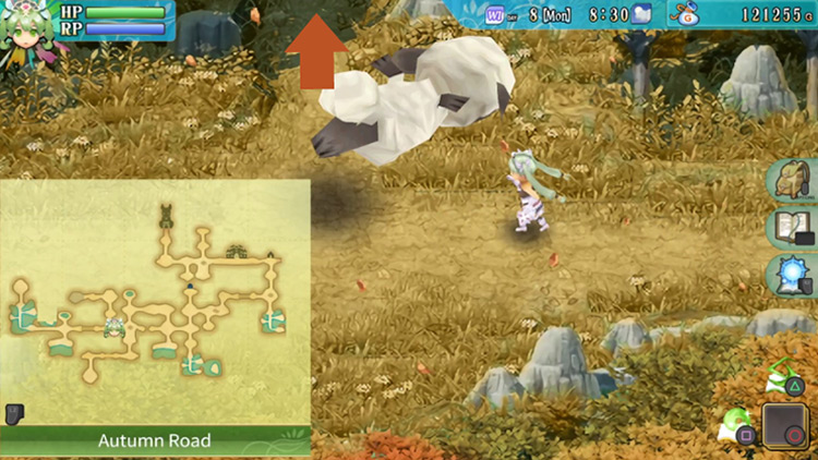 A short path along Autumn Road where a King Wooly spawns frequently / Rune Factory 4