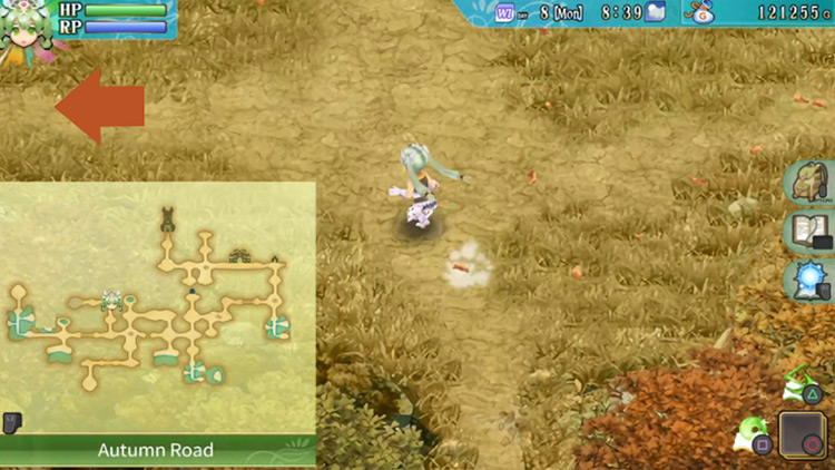 A big clearing in Autumn Road / Rune Factory 4