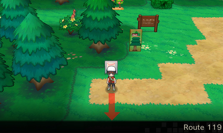 Route 119. / Pokémon Omega Ruby and Alpha Sapphire