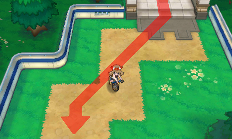Route 110 going down from Mauville / Pokémon Omega Ruby and Alpha Sapphire