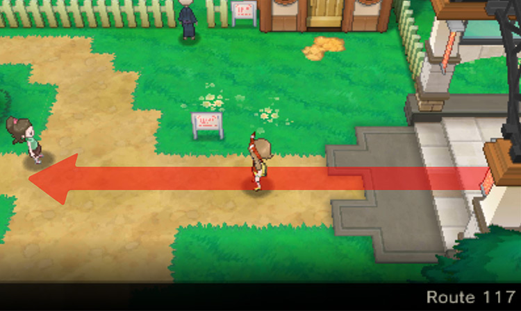 Route 117 going west / Pokémon Omega Ruby and Alpha Sapphire
