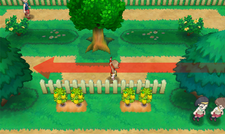 Walking along the middle path of Route 117 / Pokémon Omega Ruby and Alpha Sapphire