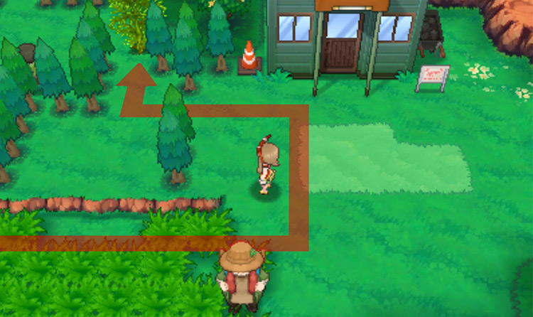 Prickly tree on Route 116 / Pokémon Omega Ruby and Alpha Sapphire