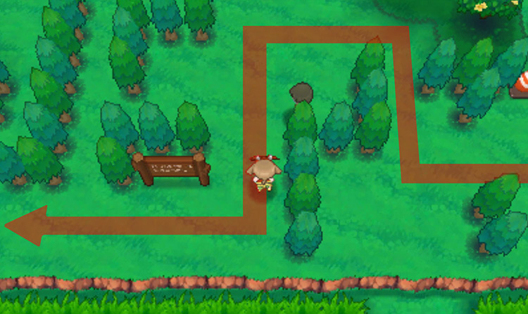 Route 116 in the maze area / Pokémon Omega Ruby and Alpha Sapphire