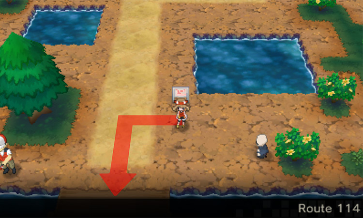 Route 114 going south / Pokémon Omega Ruby and Alpha Sapphire