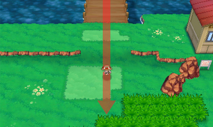 The other side of the bridge / Pokémon Omega Ruby and Alpha Sapphire