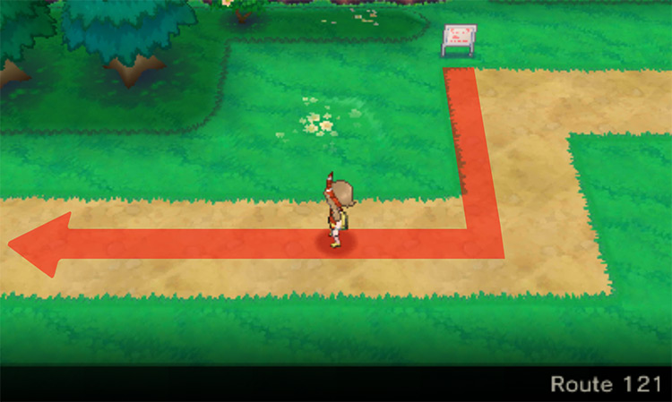 Route 121 Sign / Pokémon Omega Ruby and Alpha Sapphire