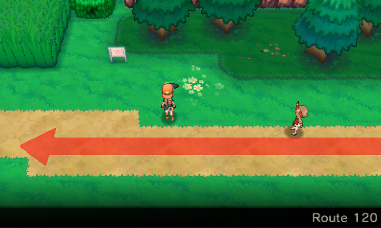 Route 120 going west / Pokémon Omega Ruby and Alpha Sapphire