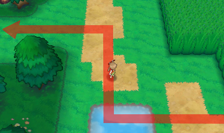 Narrow path on the left / Pokémon Omega Ruby and Alpha Sapphire