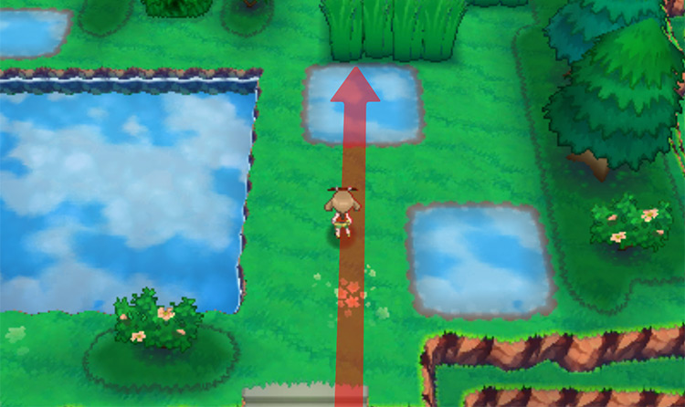 Walking by a pond on Route 120 / Pokémon Omega Ruby and Alpha Sapphire