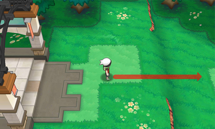 Heading east from Route 118’s entrance. / Pokémon Omega Ruby and Alpha Sapphire
