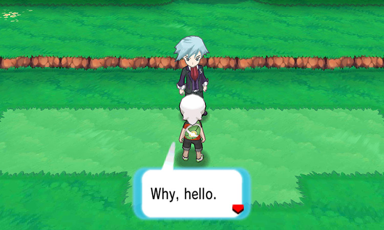 Talking to Steven on Route 118. / Pokémon Omega Ruby and Alpha Sapphire