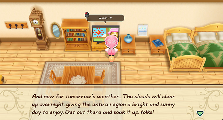 Checking the Weather Channel on the TV. / Story of Seasons: Friends of Mineral Town