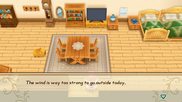 The farmer tries to go outside during a typhoon. / Story of Seasons: Friends of Mineral Town