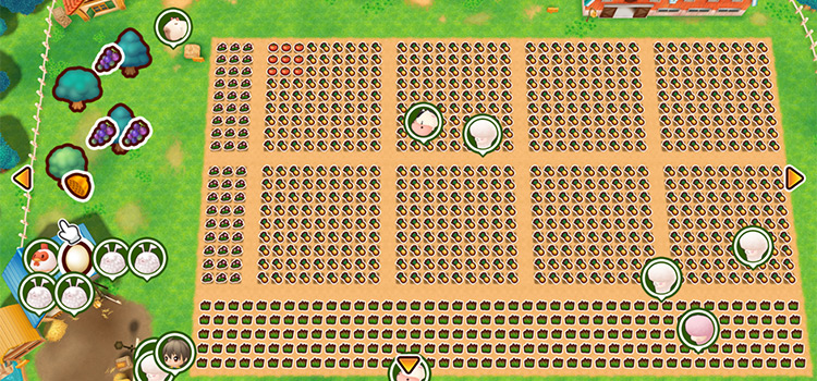 Farm Map with a complete field layout in SoS: FoMT