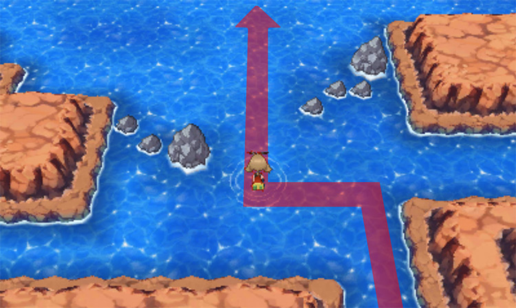 North side of Route 131 / Pokémon Omega Ruby and Alpha Sapphire