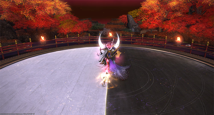 “Selenomancy” splits the arena into two sections / Final Fantasy XIV