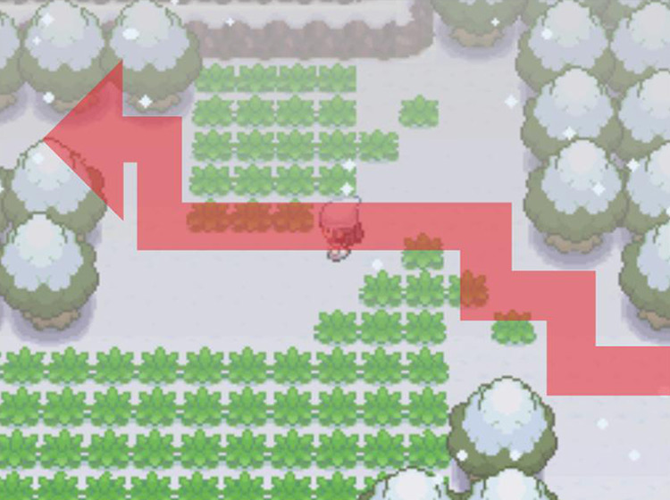 Taking the path to the northwest at Acuity Lakefront / Pokémon Platinum