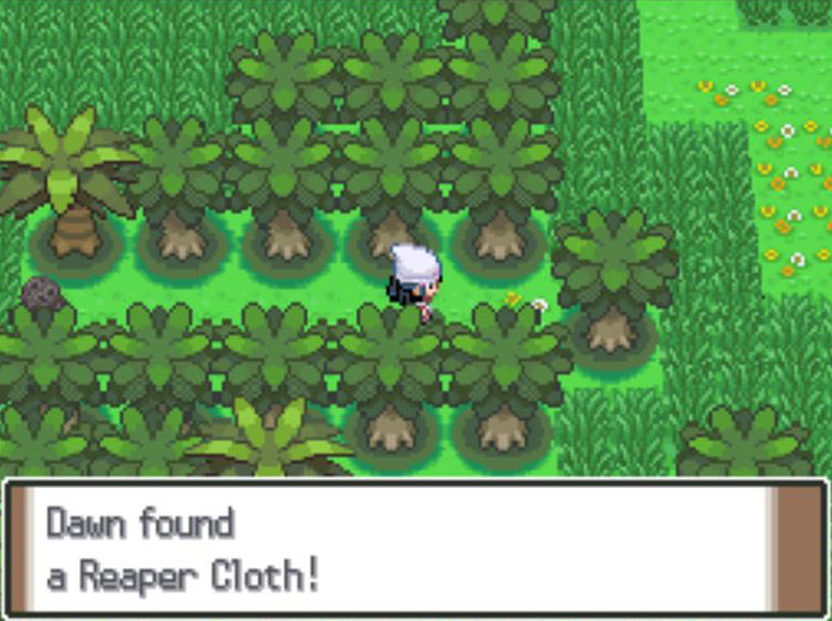 Obtaining the Reaper Cloth on Route 229 / Pokémon Platinum