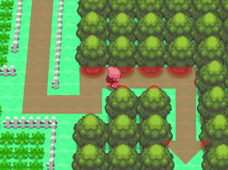 Entering the eastern gap in the woods / Pokémon Platinum