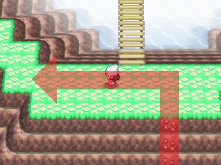 Taking a left at the top of the mountain / Pokémon Platinum