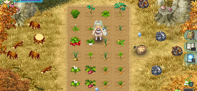Standing in the Autumn Field in Rune Factory 4