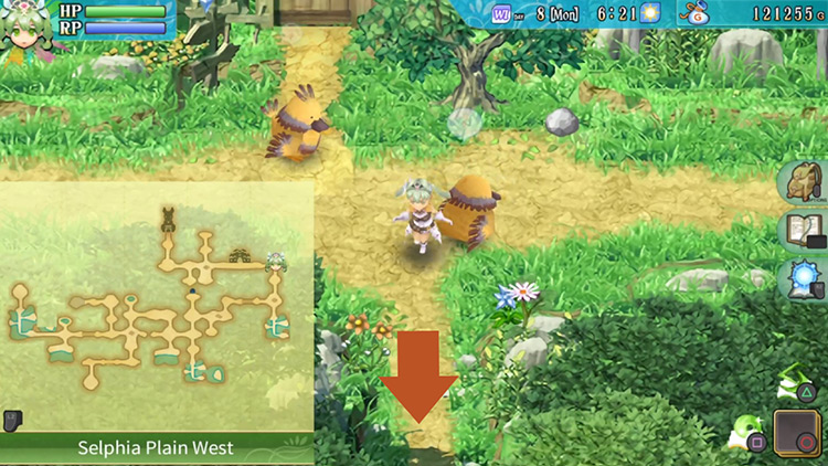 The first area of Selphia Plain West / Rune Factory 4