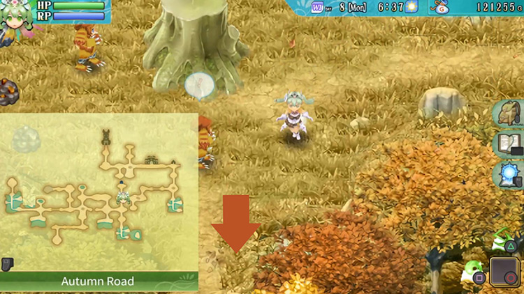 An area with a big stump in the center along Autumn Road / Rune Factory 4