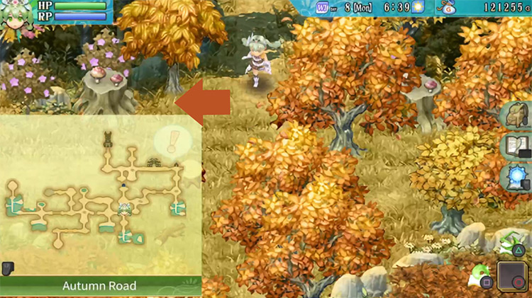 A small area in Autumn Road / Rune Factory 4