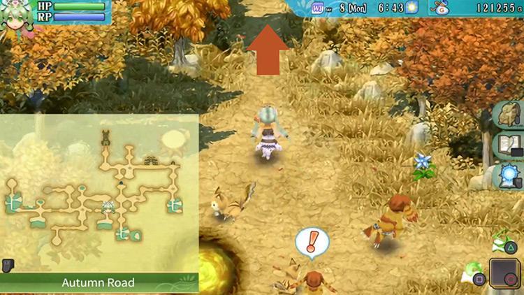 An intersection in Autumn Road / Rune Factory 4