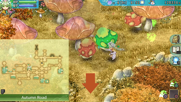 A small area with giant mushrooms along Autumn Road / Rune Factory 4