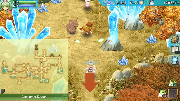 A vertical stretch with crystals growing from the ground / Rune Factory 4