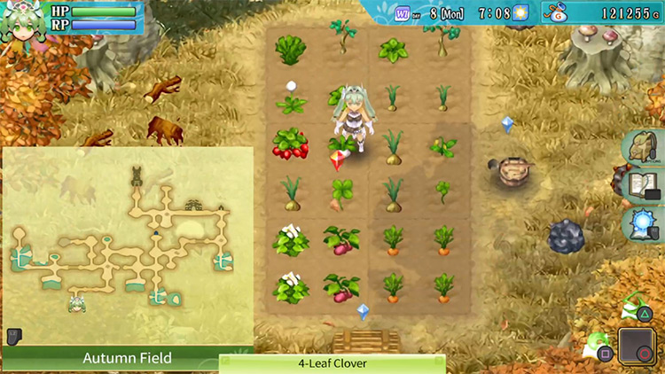 The map to the Autumn Field / Rune Factory 4