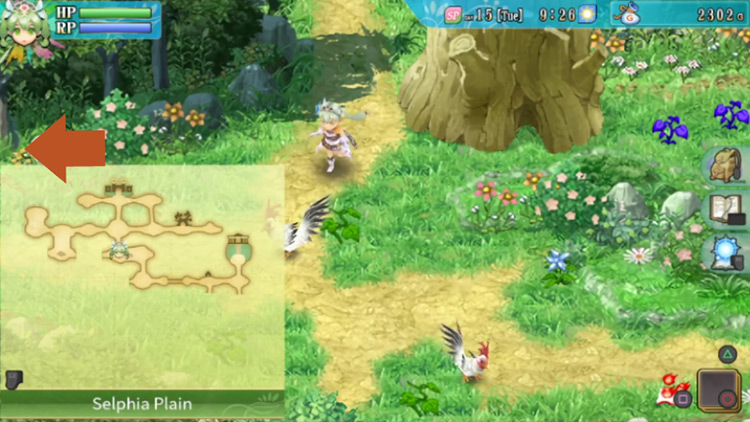 A wide area of Selphia Plain with a large hollowed-out log / Rune Factory 4