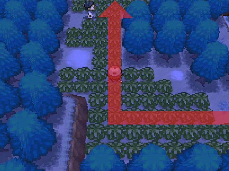 Veer north through the tall grass. / Pokemon BW