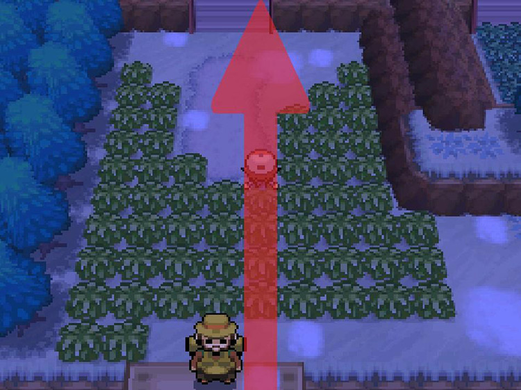 Take the stairs directly ahead. / Pokemon BW