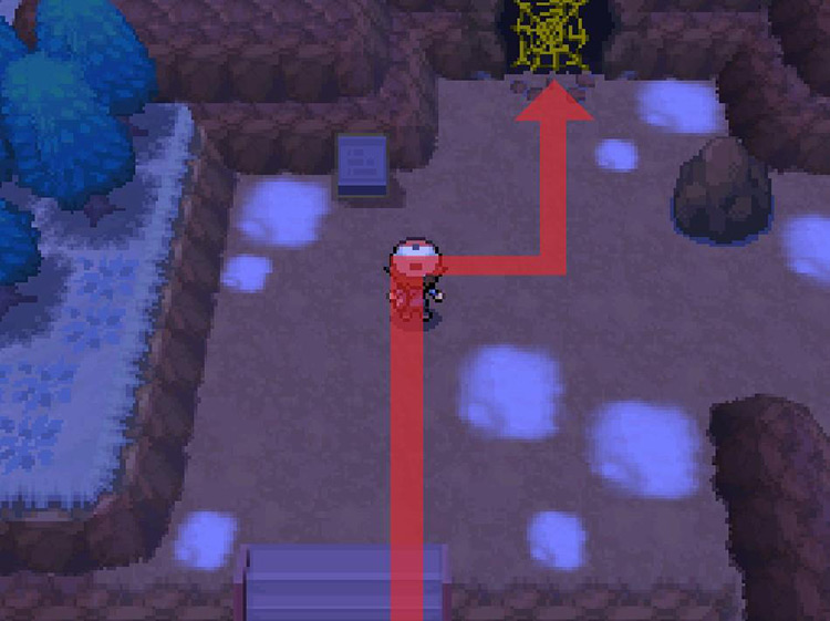 Attempt to enter the cave. / Pokemon BW
