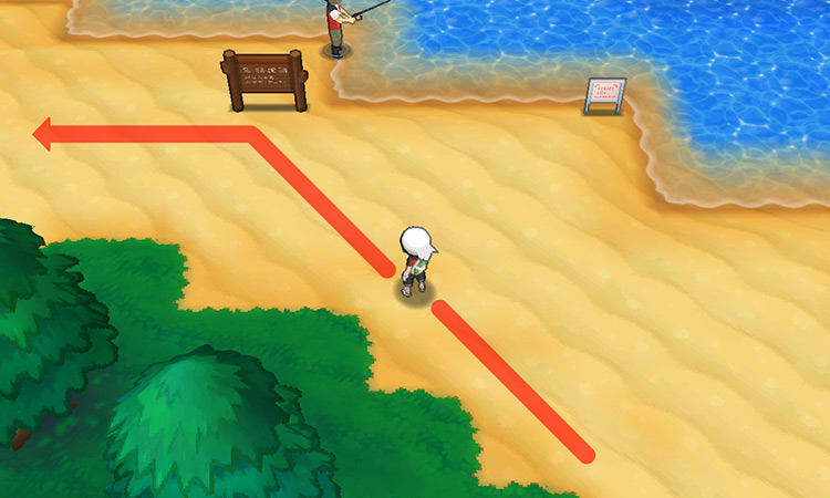 Continuing to the northwest, then turning west past the sign board. / Pokemon ORAS