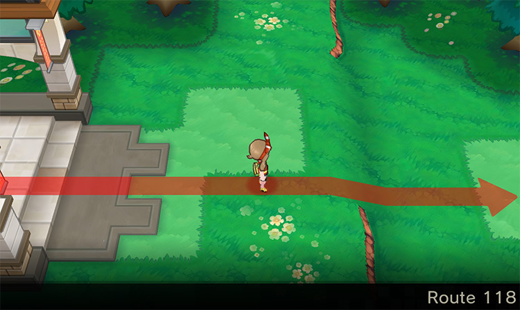 Route 118’s west section / Pokemon ORAS