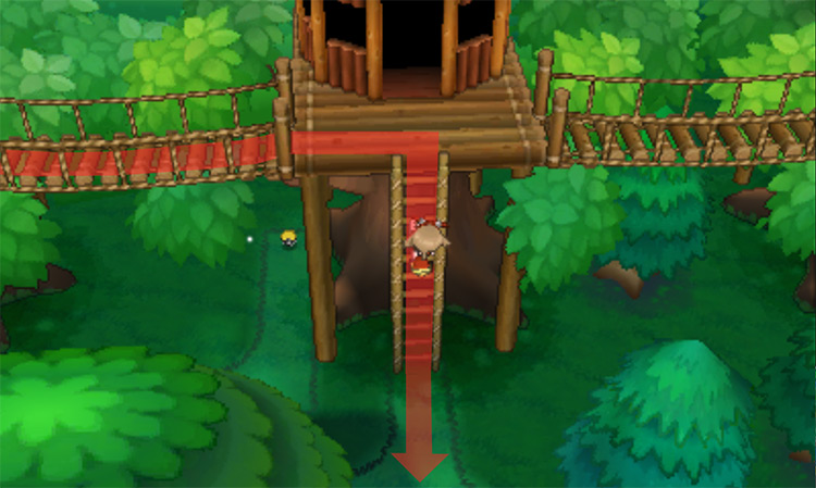 Going down the ladder that leads to the Gym / Pokemon ORAS