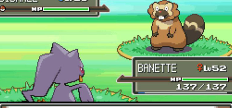 Using Trick in battle to steal from a wild Bibarel (Pokémon Platinum)