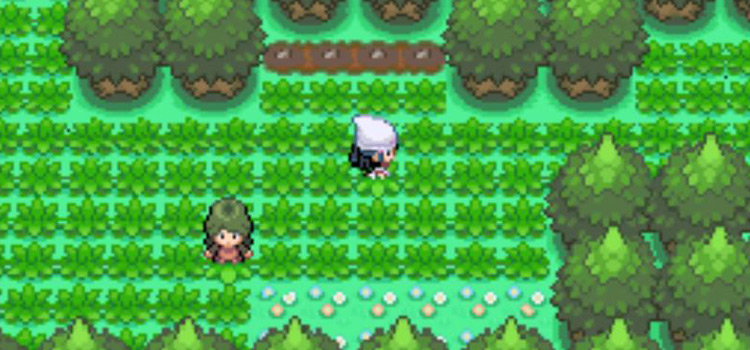 Searching for Farfetchd on Route 221 (Pokémon Platinum)