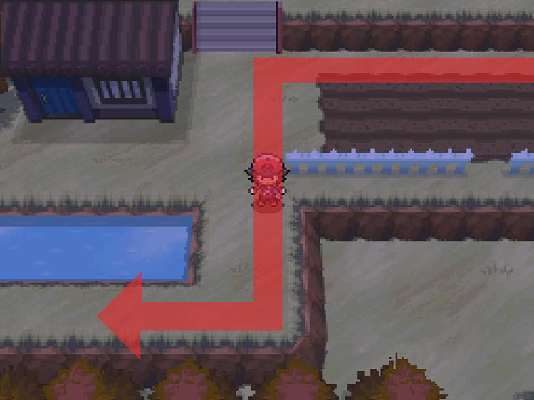 Head southwest from the small house. / Pokemon BW