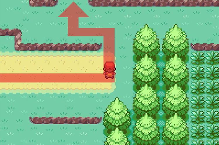 Head north from the end of the dirt path. / Pokémon FireRed and LeafGreen