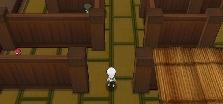 The 3rd puzzle room in the Trick House (Pokémon Alpha Sapphire)