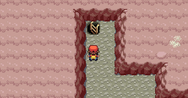 The ladder at the end of the first floor of the Mt. Ember cave / Pokémon FireRed & LeafGreen