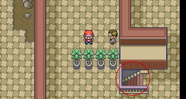 Take the staircase that is circled / Pokémon FRLG