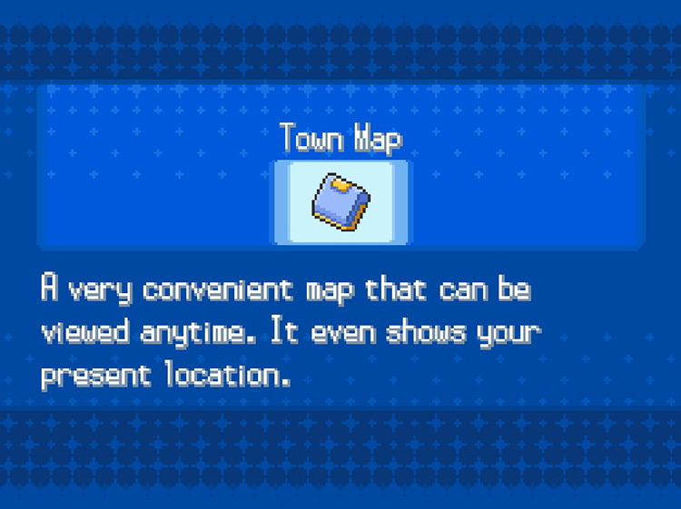 In-game details for the Town Map. / Pokemon BW